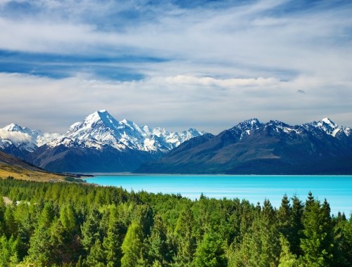Optional Sightseeing Excursions in New Zealand - Test Series 2024