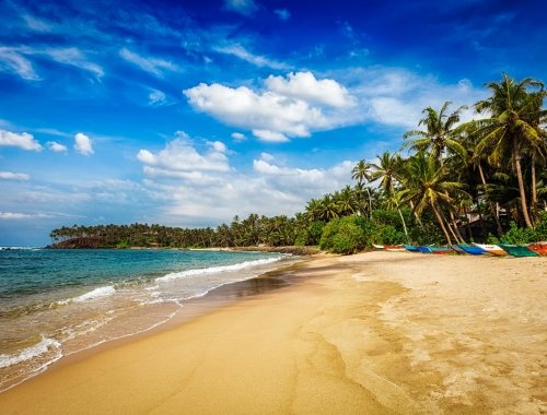 Optional Sightseeing excursions in Sri Lanka to enhance cricket experience
