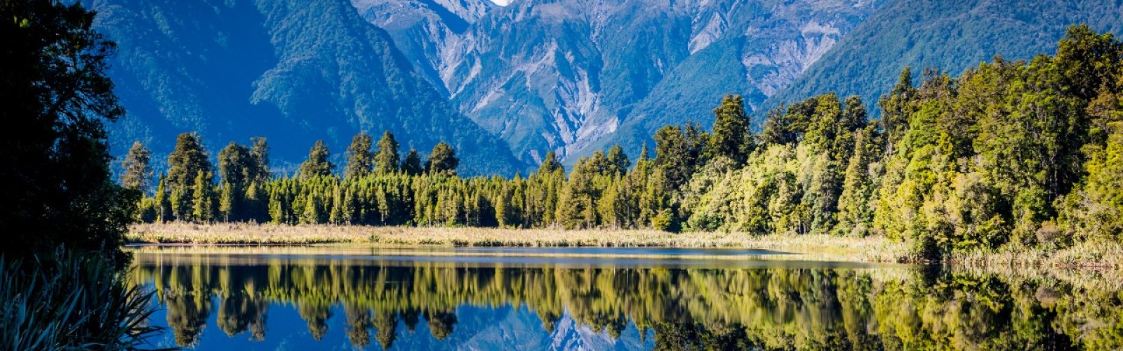 New Zealand Scenery perfect for cricket fans - NZ v Eng Test Series 2024