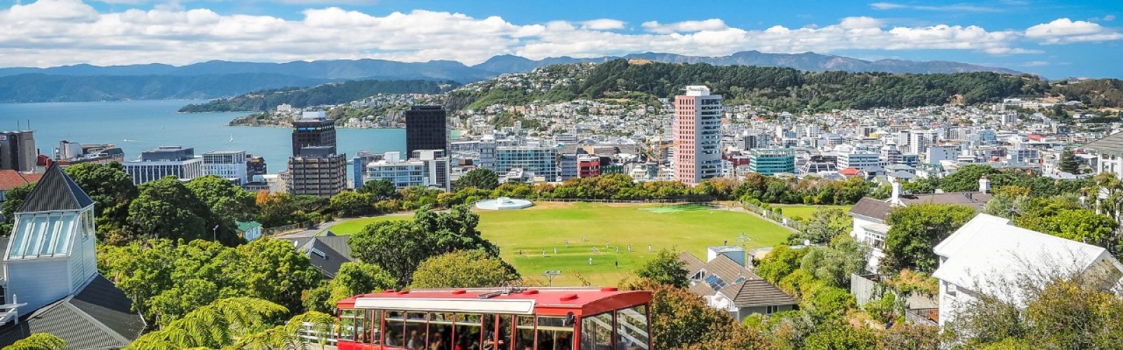 Wellington views - New Zealand v England Test Series 2024