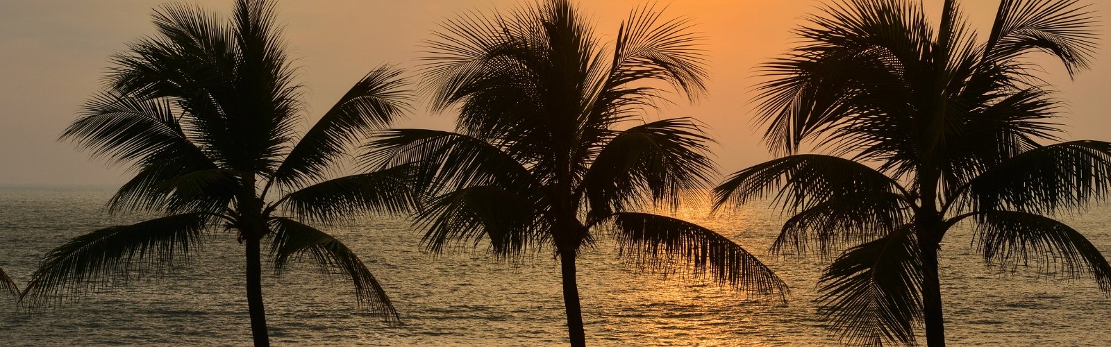 Book England Cricket Tour to Sri Lanka 4 T20Is – Colombo and Dambulla - image