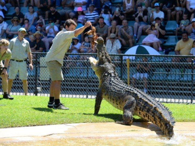 2025-26 NRMA Insurance Ashes Series package with Day trip to Australia Zoo Queensland excursion