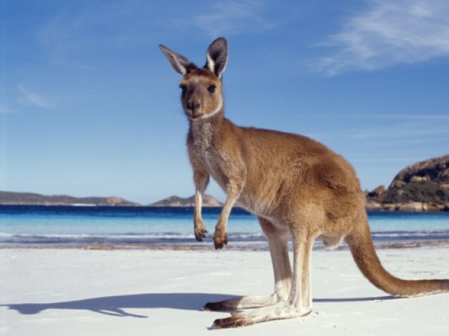 2025-26 NRMA Insurance Ashes Series package with Day trip to Kangaroo Island excursion