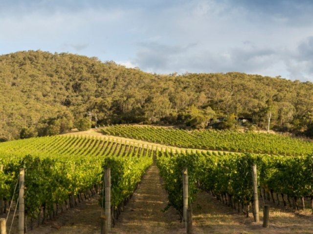 2025-26 NRMA Insurance Ashes Series package with Yarra Valley Wine excursion.jpg