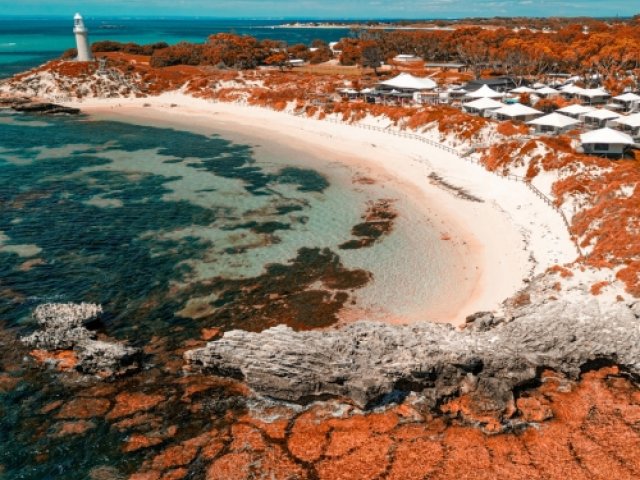 202526 NRMA Insurance Ashes package with Rottnest Island tour watching excursion - Howzat Travel