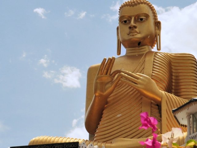 Book England Cricket Tour to Sri Lanka ODI & T20I Series Full Tour – Colombo, Kandy, and Dambulla - image