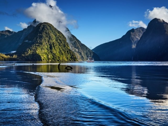 Book New Zealand v England Cricket 2025 ticket packages with Howzat Travel - image